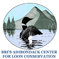 BRI's Adirondack Center for Loon Conservation